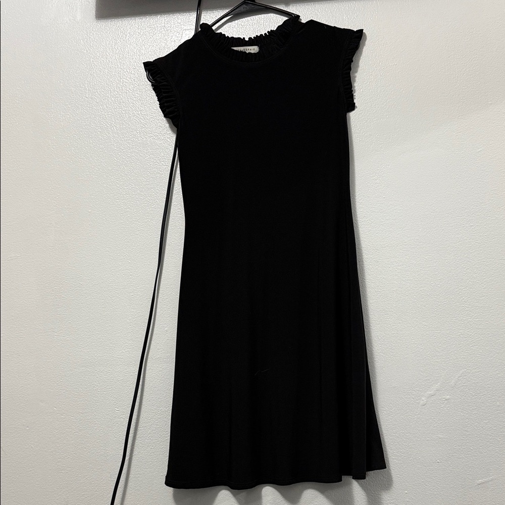 Chic Black Ruffle Sleeve Mini Dress